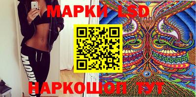 спайс Гай