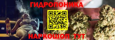 спайс Гай
