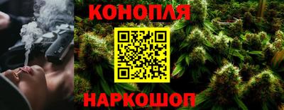 спайс Гай